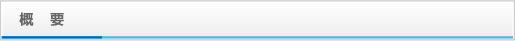 概要